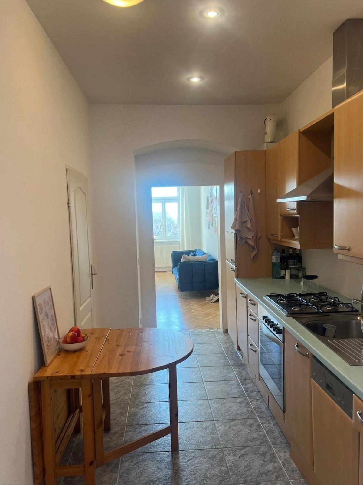 Beautiful Flat Overlooking A Great Park Apartment Wien